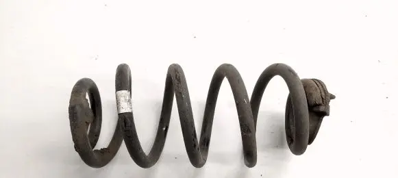 Rear coil spring