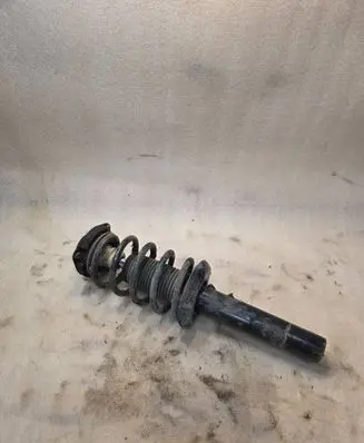 Seat Altea Front shock absorber with coil spring 
