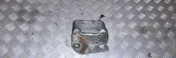 Mercedes-Benz ML W163 Engine oil radiator A613880101