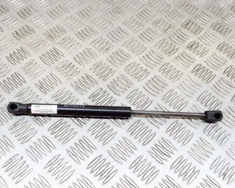 Land Rover Discovery 5 Tailgate/trunk strut/damper JY3M45898AA