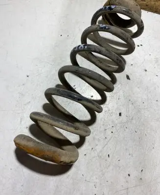 Rear coil spring