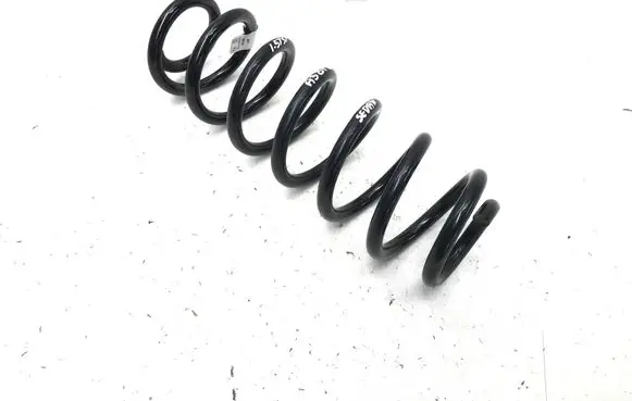 Rear coil spring