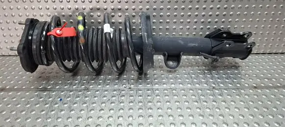 Fiat Doblo Front shock absorber/damper S25071950 00520939630
