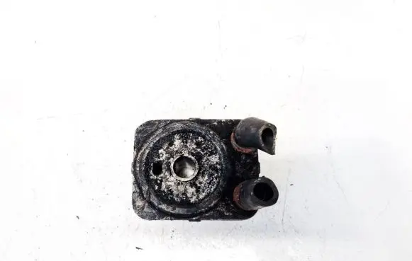 Volkswagen PASSAT B5.5 Engine oil radiator 