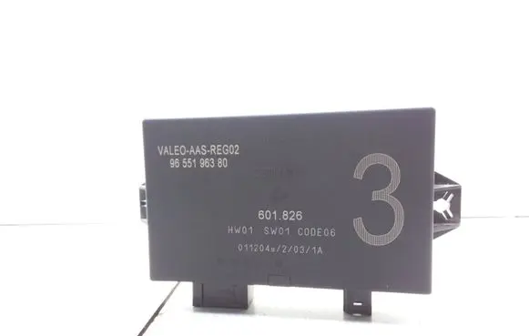 Citroen Xsara Picasso Other control units/modules 9655196380 601826