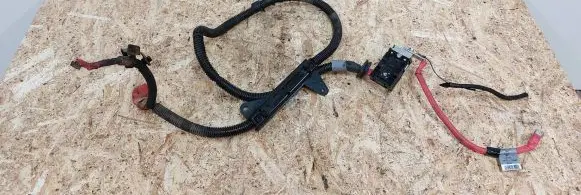 Positive wiring loom
