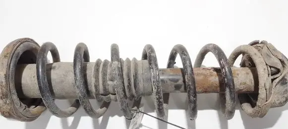 Honda Accord Rear coil spring