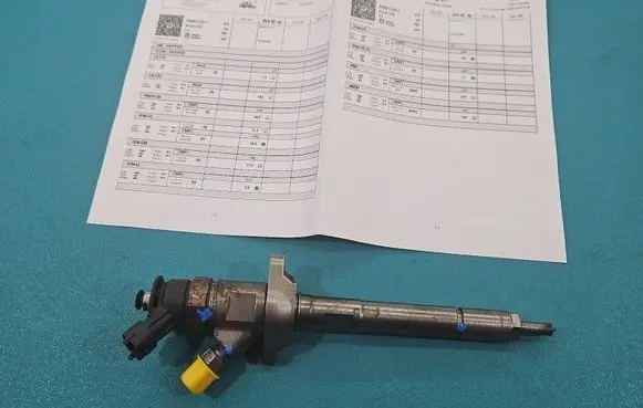Citroen Berlingo Fuel injector 0445110311 IMPRK1523452