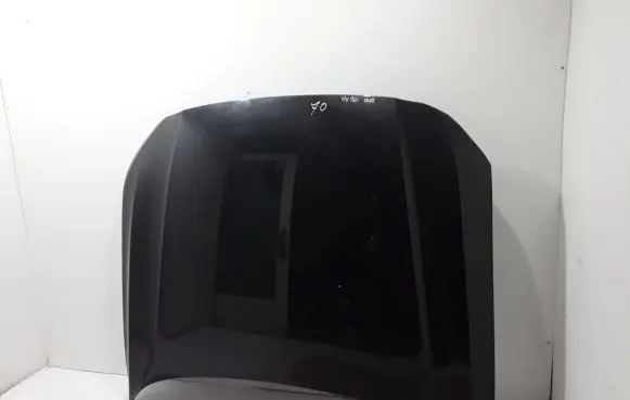 Engine bonnet/hood