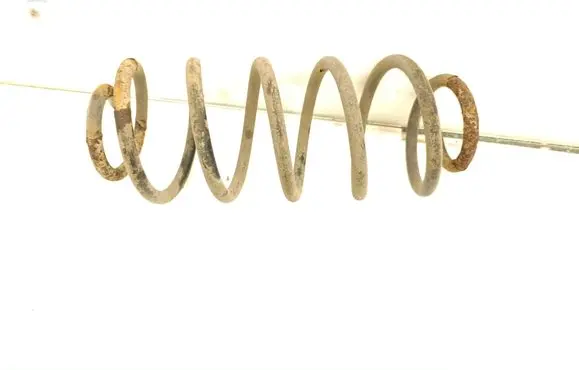 Rear coil spring