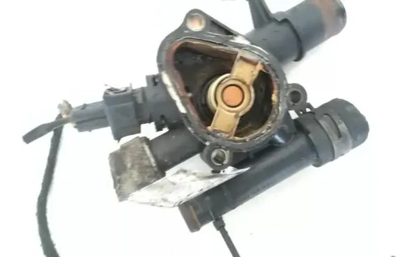 Nissan Primera Engine coolant pipe/hose 8200112054