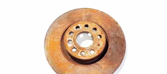 Volkswagen Tiguan Front brake disc ventiliuojamas