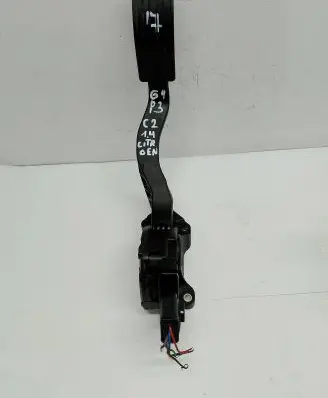 Peugeot 207 Accelerator throttle pedal 6PV00908300