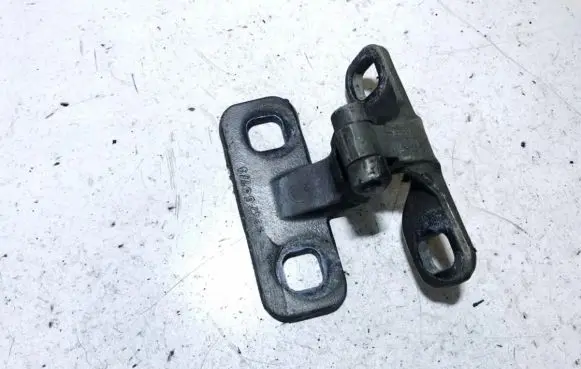 Rear door lower hinge