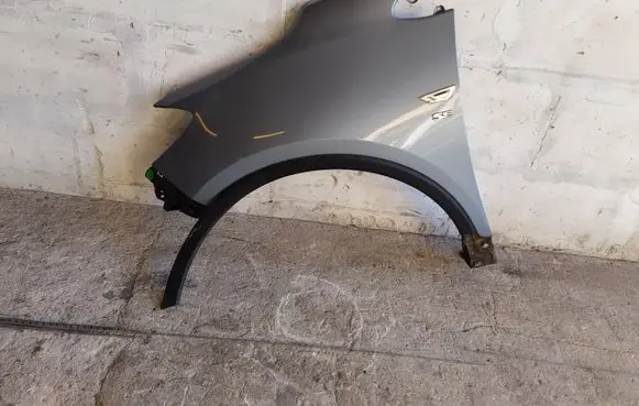 Fender