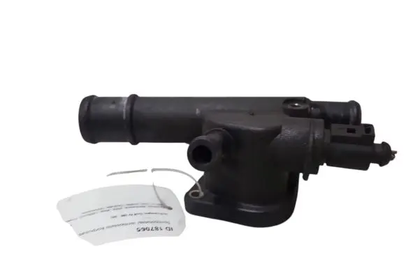Thermostat/thermostat housing