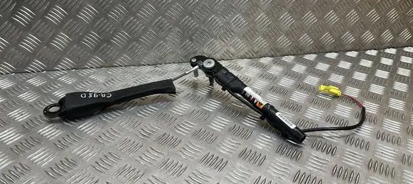Chevrolet Captiva Front seatbelt buckle 20919346 621830878