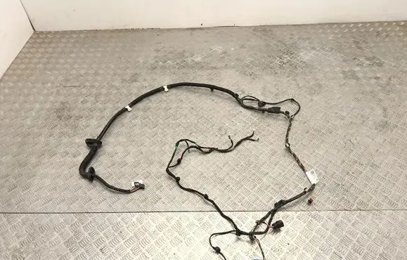 Tesla Model Y Juniper Front door wiring loom 193389203D