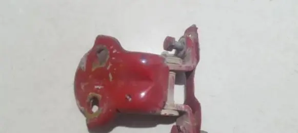 Rear door lower hinge