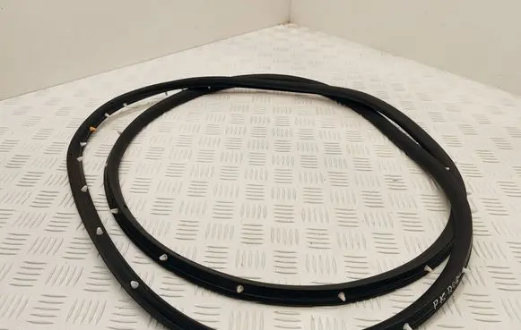 Renault Scenic E-Tech V Rubber seal front door (on door)