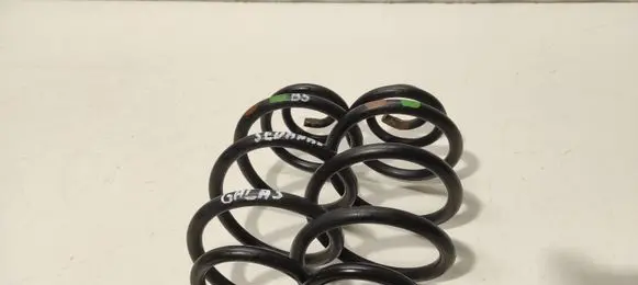 Volkswagen PASSAT B5 Rear coil spring