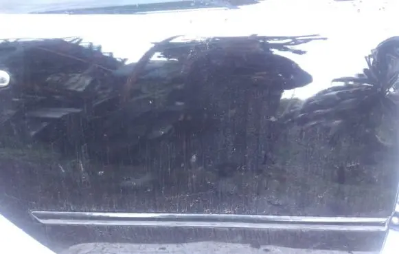 Hyundai Sonata Rear door trim (molding)