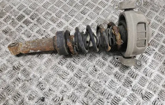 Porsche Cayenne (9PA) Rear shock absorber/damper 7L5513029G