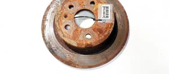 Opel Insignia A Rear brake disc neventiliuojamas