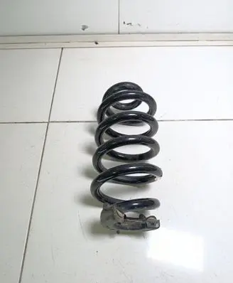 Skoda Enyaq iV Rear coil spring