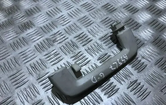 Ford Focus Rear interior roof grab handle