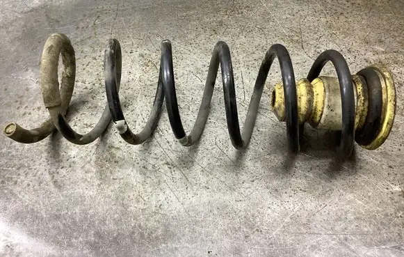 Rear coil spring