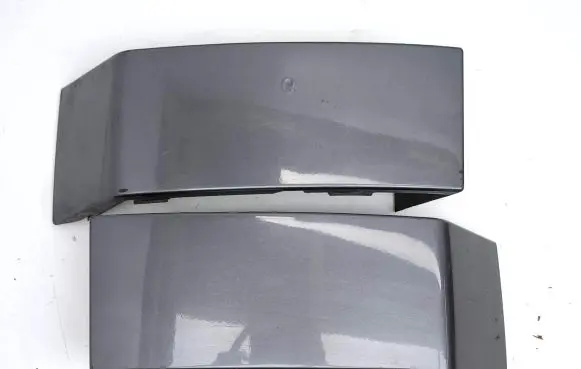 Rear/tail light trim molding