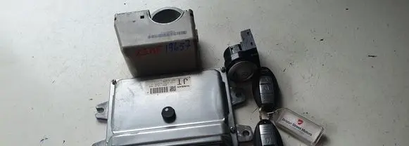 Nissan Leaf I (ZE0) Engine control unit/module