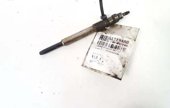 Peugeot 407 Glow plug 0250202048