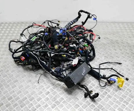 Maserati Ghibli Other wiring loom 670008598 06700065540