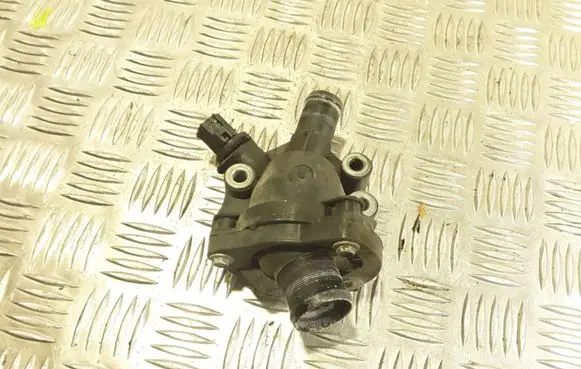 Thermostat/thermostat housing