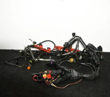 Engine installation wiring loom