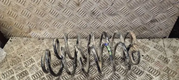 Skoda Octavia Mk2 (1Z) Rear coil spring 