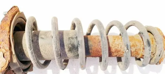 Rear coil spring