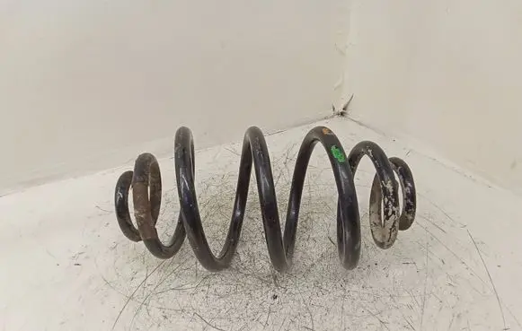 Volkswagen PASSAT B5 Rear coil spring