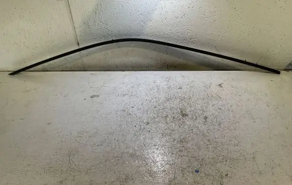 Dodge Challenger Trim molding 