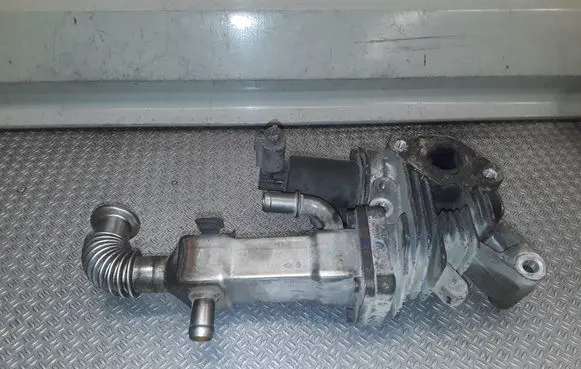Renault Megane II EGR valve cooler 8200360566a 70007504
