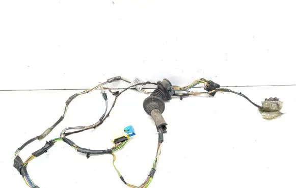 Citroen C5 Front door wiring loom 9650502880