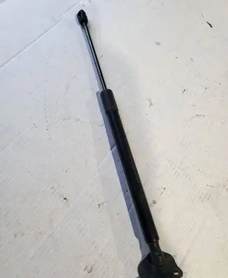 Tailgate/trunk strut/damper