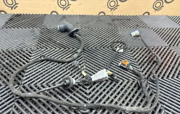 Peugeot 3008 II Rear door wiring loom 9829074380