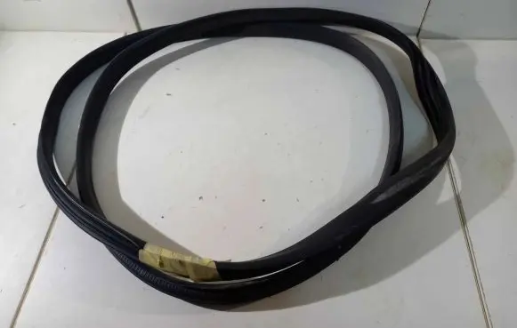 Renault Zoe Rubber seal front door (on door) 