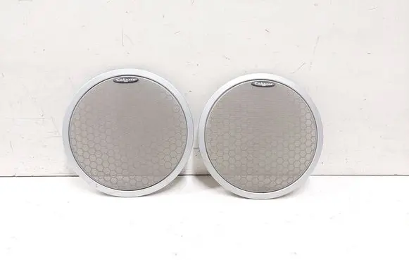 Renault Espace - Grand espace IV Rear door speaker cover trim 