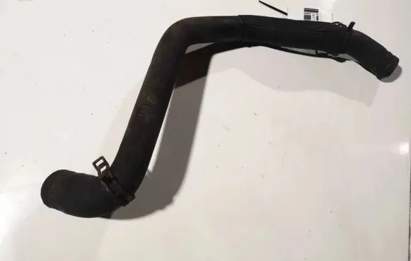 Citroen Berlingo Engine coolant pipe/hose