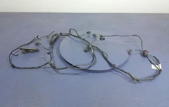 Other wiring loom