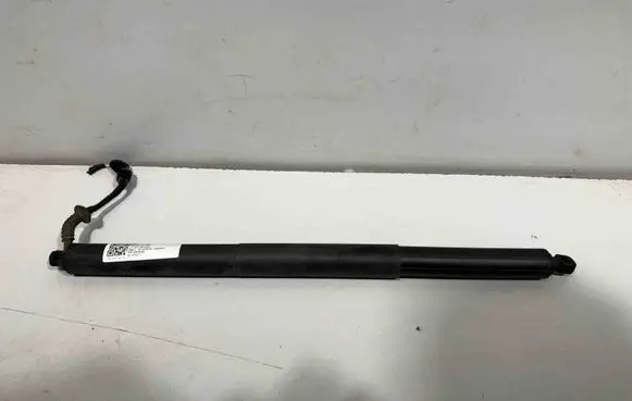 Tailgate/trunk strut/damper